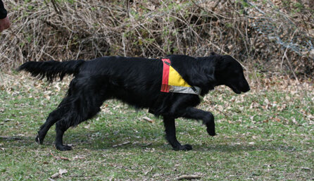 075a2f9a23ff66b701e8c170fd53a502cf472d13