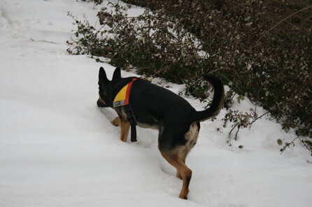 28a0604369ea7395b4d2f80fa0b1615dd6d3064f