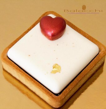 Monoporzione Sissy Panna cotta alla fava di Tonka e frutti rossi bio