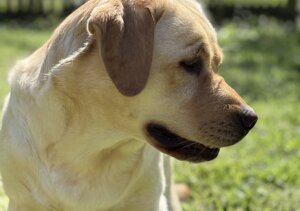 c87448217ea422bfe648518641add3224475892f c87448217ea422bfe648518641add3224475892f