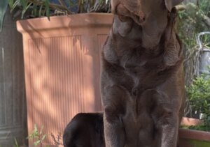 eb959852b1f4beb73a20c9c6b37641f1cdaf6c67.jpeg eb959852b1f4beb73a20c9c6b37641f1cdaf6c67.jpeg