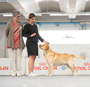 image0.jpeg image0.jpeg