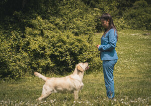 _sim3843.jpeg _sim3843.jpeg