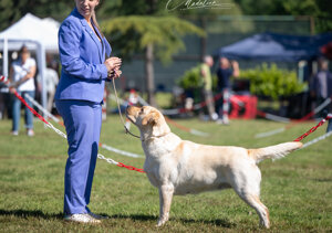 img_3564.jpeg img_3564.jpeg