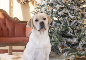 62c2f22045becbaa67f636611a2623aa0d353b4a 62c2f22045becbaa67f636611a2623aa0d353b4a