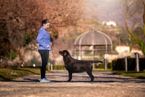 img_1365.jpeg img_1365.jpeg