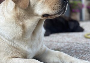 559dc767b07c7b36eb8431eaec4ea8bbf3ac20f8 559dc767b07c7b36eb8431eaec4ea8bbf3ac20f8