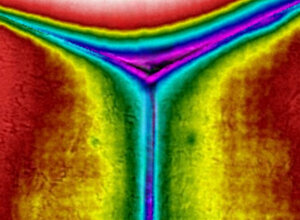 immagine termografica.webp