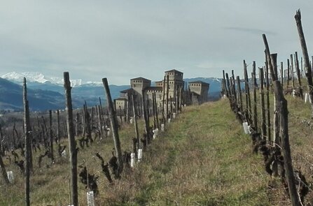 1180fd2e2f9ec6a2783e04631220d0399d173f5b