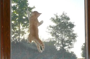 22773c235d3eaf7b7e02489e0aab52e06cf26593