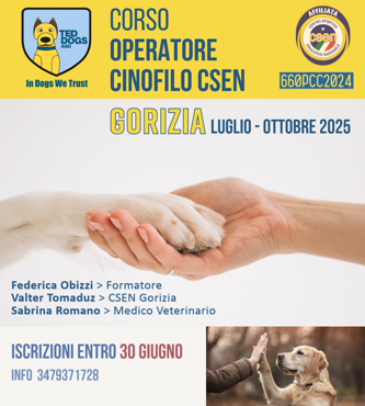il mio progetto copia copia copia-2
