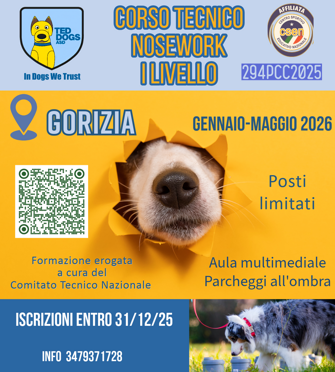 il mio progetto copia copia copia-1