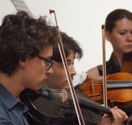 violino.jpeg violino.jpeg