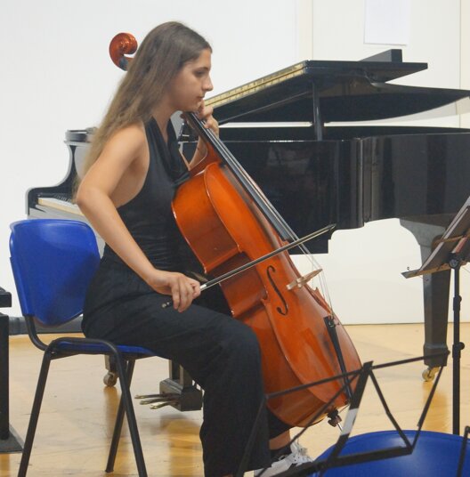 violoncello.jpeg violoncello.jpeg