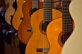 stew22-guitars-4045306_1280.jpeg stew22-guitars-4045306_1280.jpeg