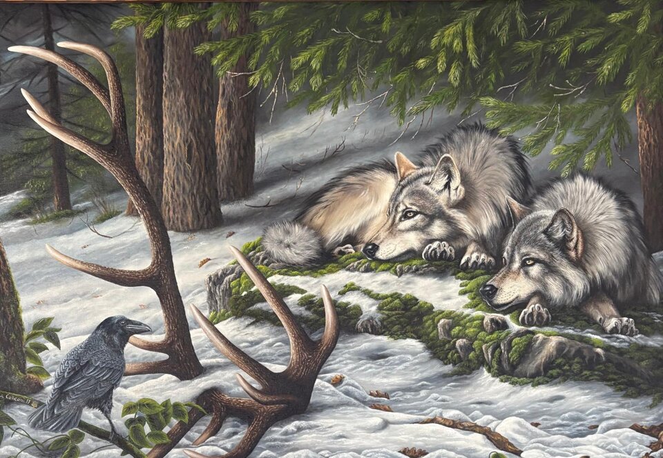 wolf.jpeg