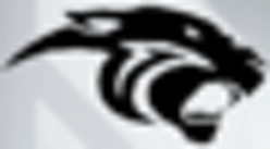 black_p-removebg-preview (1) (2)