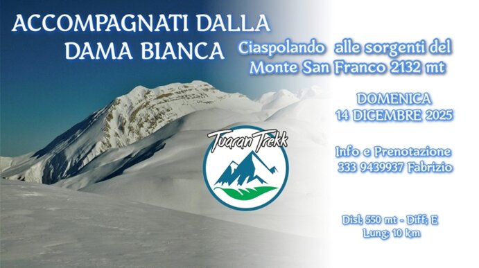 san franco 14 dicembre 2025.jpeg san franco 14 dicembre 2025.jpeg