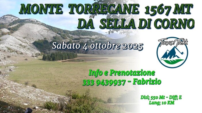 torrecane .jpeg
