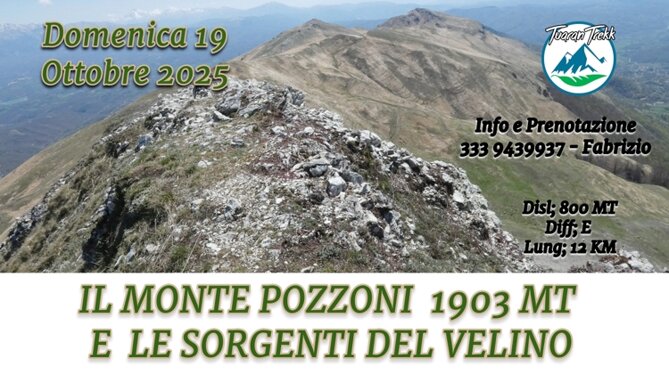 pozzoni.jpeg