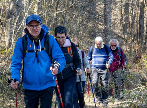 filaindiana1.jpeg filaindiana1.jpeg