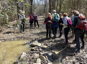 cravanzana.jpeg cravanzana.jpeg