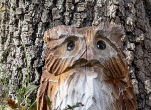 fatica.jpeg fatica.jpeg