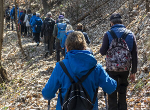 fioriciliegio.jpeg fioriciliegio.jpeg