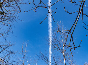 spiegazione.jpeg spiegazione.jpeg