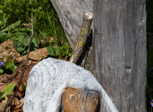 riposo.jpeg riposo.jpeg