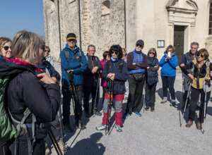 ciliegio.jpeg ciliegio.jpeg