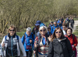 gruppomuretto.jpeg gruppomuretto.jpeg