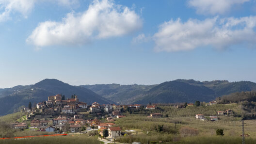 cravanzana.jpeg cravanzana.jpeg