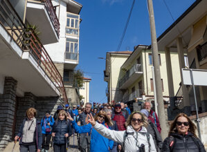 pecorella.jpeg pecorella.jpeg