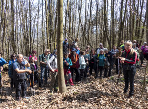 traccecinghiali.jpeg traccecinghiali.jpeg