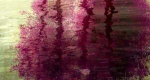 img_20241223_193245.jpeg