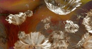 img_20240509_000307.jpeg