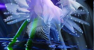 img_20240804_160537.jpeg