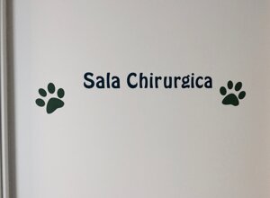 veterinario manziana mascagna