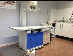 img_7761.jpeg img_7761.jpeg