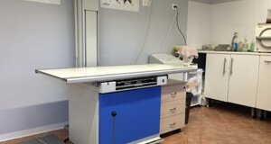 veterinario manziana mascagna