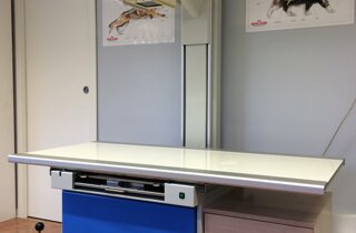 veterinario manziana mascagna