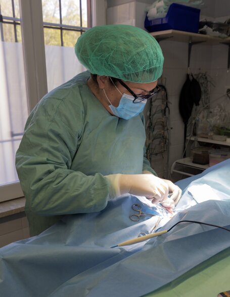 veterinario manziana mascagna