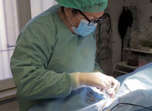 veterinario manziana mascagna