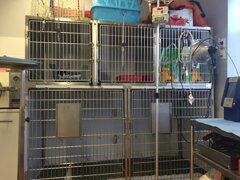 img_3558.jpeg img_3558.jpeg