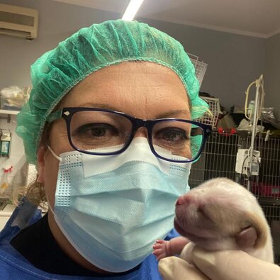 veterinario manziana mascagna