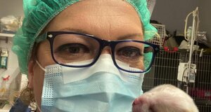 veterinario manziana mascagna