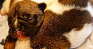 img_7729.jpeg
