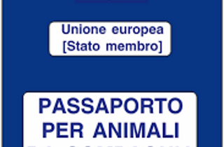 veterinario manziana mascagna