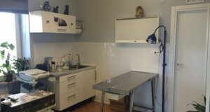 veterinario manziana mascagna